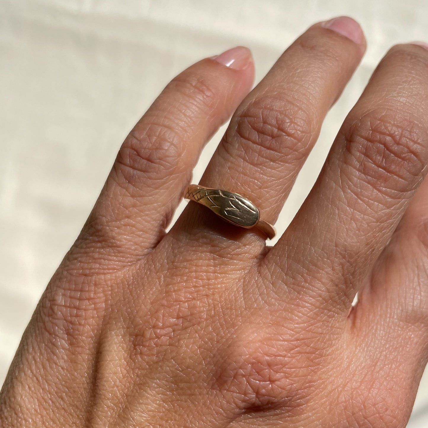 Bronze Ouroboros Ring