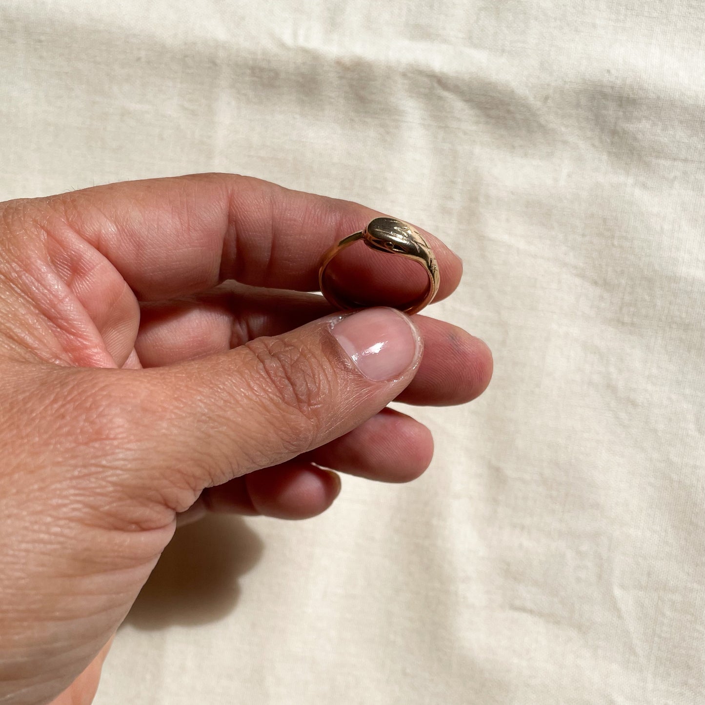 Bronze Ouroboros Ring