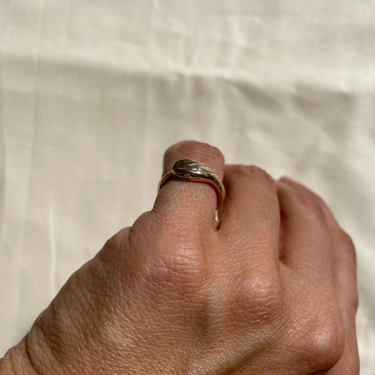 Bronze Ouroboros Ring