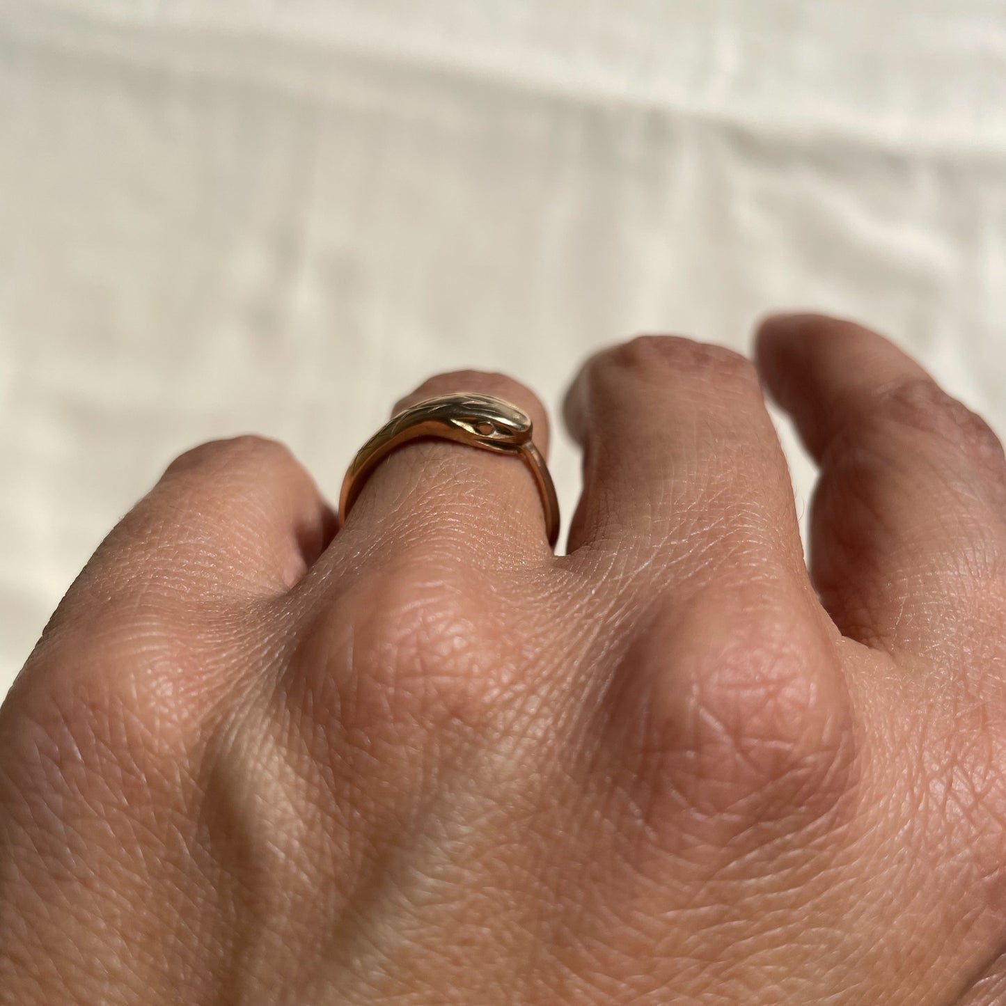 Bronze Ouroboros Ring